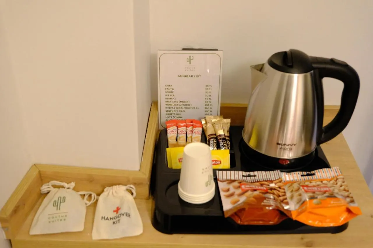 Cactus Suites 이스탄불 아파트호텔